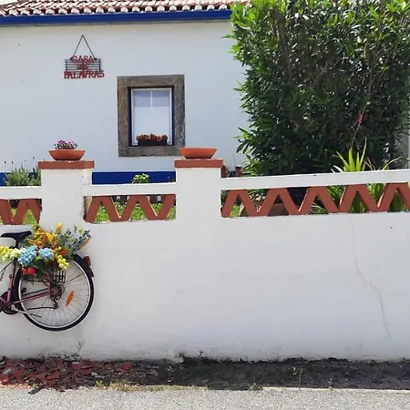 Casa Palavras Mafra